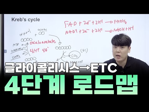 [IB Bio HL] 평가 대비 바이오 산화/환원·탈탄산·화학삼투 핵심정리 (호흡은 ‘숨쉬기’가 아니다)