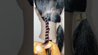 Can't do jumbo twist braids?  try this way #hairtutorial #stylist #protectivestyles #twist #braids