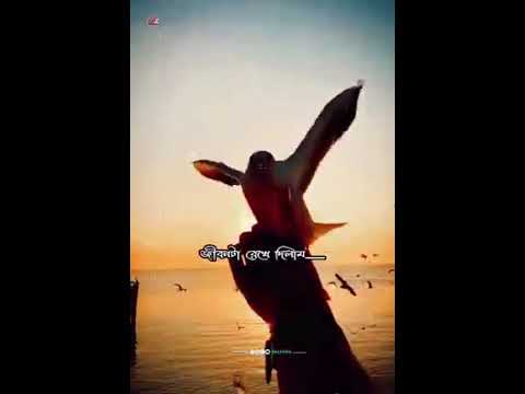 # 𝐿𝑖𝑘𝑒  𝑎 𝑏𝑜𝑎𝑡  𝑓𝑙𝑜𝑎𝑡𝑖𝑛𝑔 𝑜𝑛 𝑡ℎ𝑒 𝑟𝑖𝑣𝑒𝑟 # 𝐼 𝑤𝑖𝑙𝑙  𝑏𝑒 𝑏𝑦  𝑦𝑜𝑢𝑟 𝑠𝑖𝑑𝑒 𝑎𝑙𝑙 𝑚𝑦 𝑙𝑖𝑓𝑒 # 🌹👨‍❤️‍💋‍👨💖💖💖