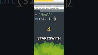 5 Functions in STRING - @nwmap #learnpython #pythonhindi #pythonprogramming
