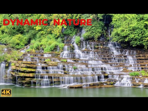 DYNAMIC NATURE | Natural Beauty with Ultimate Peace of Mind | Ultra HD Nature Film