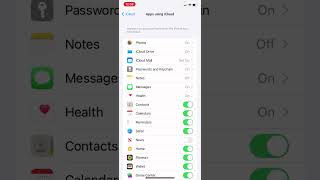 Sync Apple Notes on an iPhone and Mac via iOS settings #iphone