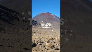 sorry not sorry New Zealand is such a feature 🤭 #2025 #holidaysonshorts #2025recap