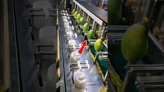 how to peel a mango #technology #moderntools #manufacturing #fruit