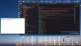 Branches Dev Setup
