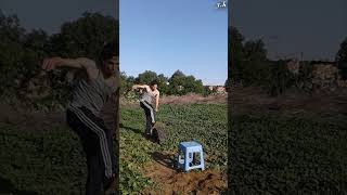 Beyond the Basics !!