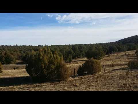 25 acres APN30970 - On Site 5
