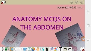 ANATOMY MCQS ON THE ABDOMEN