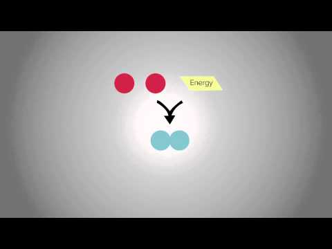 Metabolism