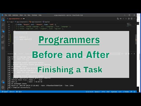 Programmers - Before and After Finishing a Task
