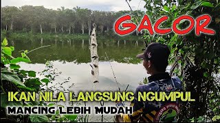 Pancing Jaring‼️Mancing ikan nila ini dia Umpanya.