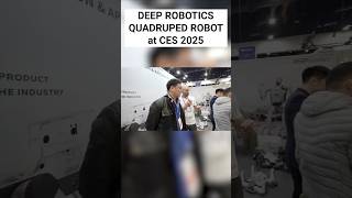 DEEP Robotics Robot Dog at CES 2025 #shorts