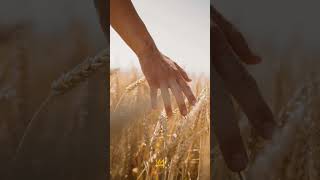 God Never Gave Us Power Over People | #shorts #kingdomleadership #leadership #books