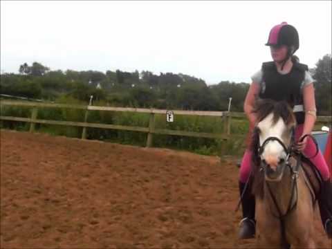 Pony Camp Seaview House Equestrian July 2011