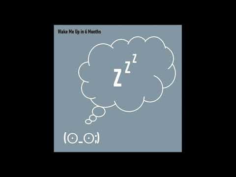 Wake Me Up in 6 Months - No Hit Wonder