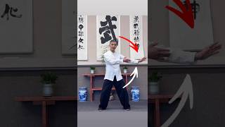 Small details for beginner Station practice 云手（Cloud Hands）#taichi #chi #kungfu #meditation #balance