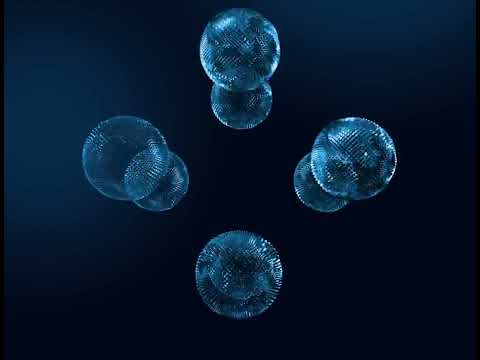 Fourmeta/Motion design