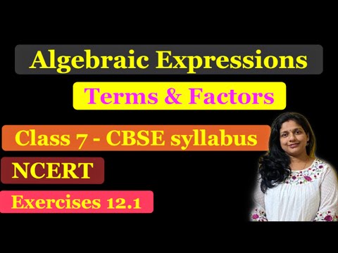 CBSE Math Class 7 Chapter 12 | Algebraic Expressions-Terms & Factors |Exercise 12.1 of NCERT Book