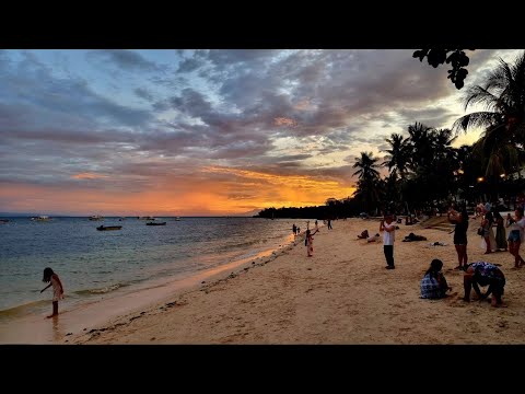 Philippines 🇵🇭 Cebu, Bohol, Davao (Aug’2024)