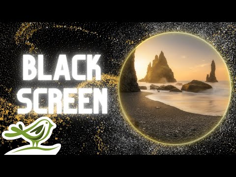 [NO ADS] The Shore of Dreams: 10 Hours of Deep Sleep Music with Black Screen