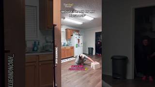 Mouse prank on husband 🤣Credit - Allieandnoah_#ViralVideos #InstaReels #Comedy