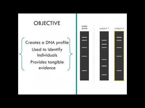 2018 AZ Guidelines for a Coordinated Community Response to Adult Sexual Assault--Crime Lab