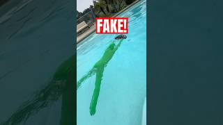 THIS VIDEO IS FAKE! 😱