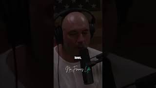 How to Survive an Apocalypse 😲 - Joe Rogan