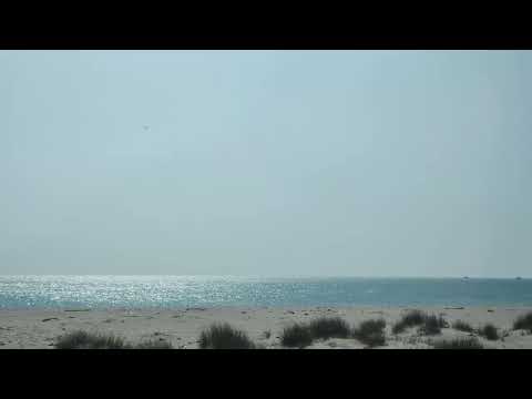 Dhanushkodi