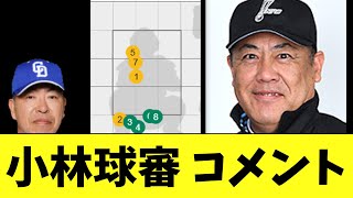 小林球審　今日の阪神vs中日の9回に起きた事件についてコメント