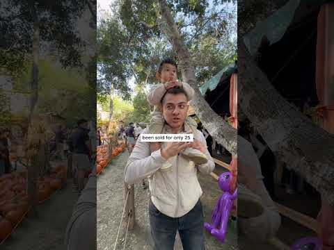 Most Latinos start businesses that will fail | Yoursocialmediaguy