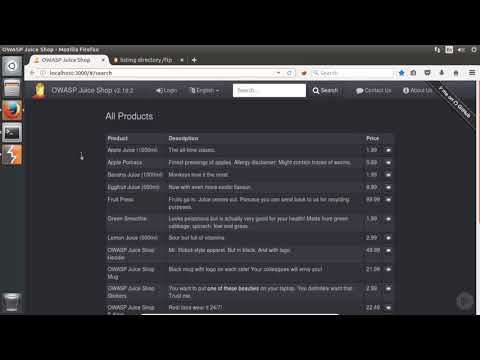 23  Burp and File Downloads