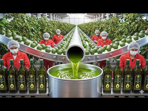 How Avocado Oil Is Made Secret Reveals 🥑 (Full Factory Process)