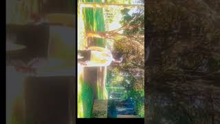 Follow for more Tutorial videosMistletoe37.6K61#tutorials #tutorial #tutorialvideo #tutorialreel