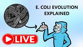 These Creationists STILL Don't Understand Evolution (For a Good Cause)