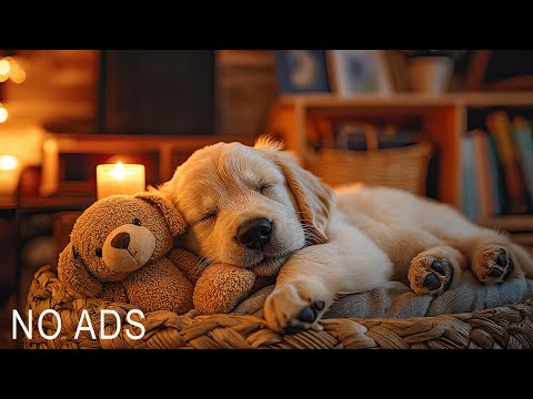 Relaxing music for dogs when home alone🐶🏠Anti Anxiety Music For Dogs 🐶 Dog Stress Relief Music🎵