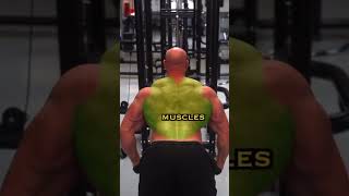 Exercise #bigbackworkout #fitnesslife #dedication  #sportscardbreak