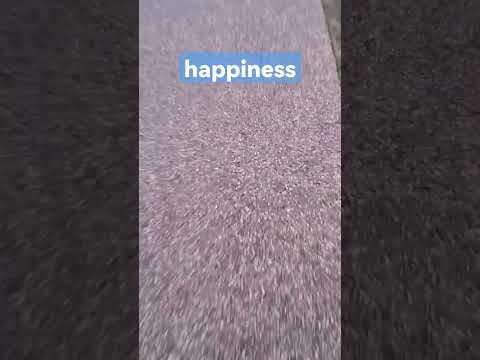 #happiness #shorts