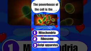 Cell Biology Quiz: Can You Name the Powerhouse of the Cell?