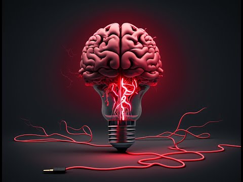 The Marvel of the Human Brain