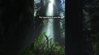 Train your mind to see the good in everything