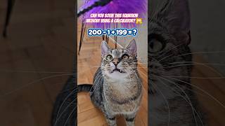 Can You Solve This Without a Calculator? 🙀🐈‍⬛ #maths #cat #shorts