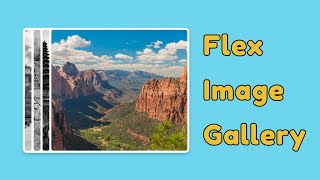 Build a Modern Image Gallery with Flexbox: HTML & CSS Tutorial for Beginners