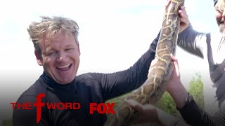 Gordon And Jack Ramsay Hunt For A Burmese Python | Season 1 Ep. 8 | THE F WORD