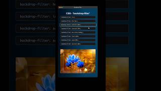 ✨Favorite Backdrop-Filter | CSS Glass morphism Effect | UI #webdevelopment #htmlcss #animation