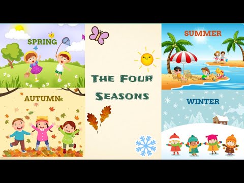 Explore the Four Seasons | Lesson for Children | QUIZ