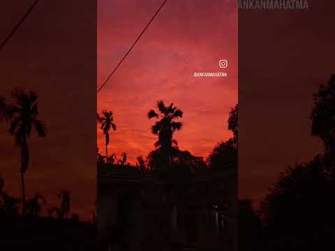 #nature #photography #photographyskills #beatuful