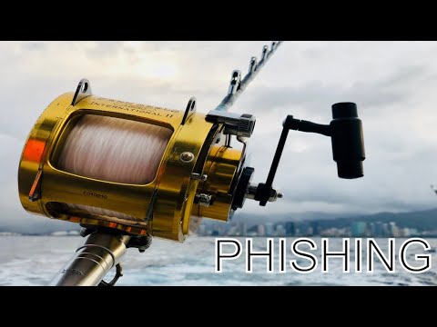 How to save yourself from Phishing Scams
