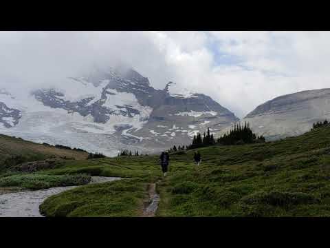 Snowbird Pass Meadow