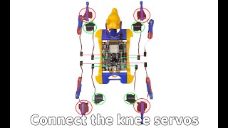 Seamless Integration Wiring BiBoard with Voice Extension Hat for Enhanced Functionality